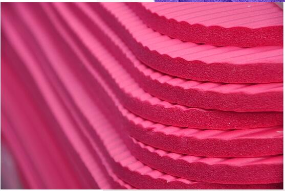 Thick Exercise Yoga Mat